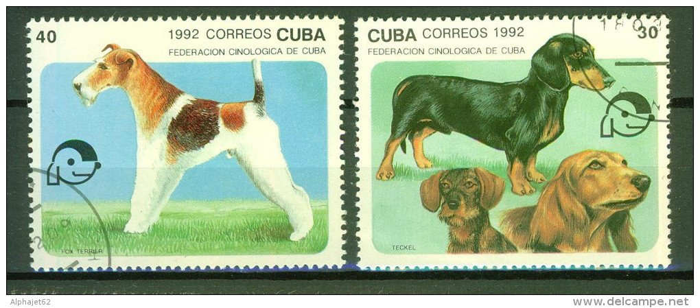 Chiens De Race  - CUBA - Fox Terrier, Teckel - N° 3193-3195 - 1992 - Used Stamps