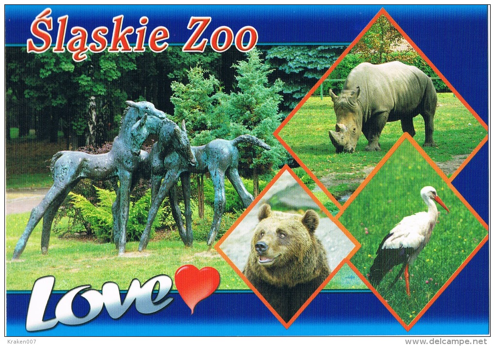 Slaskie ZOO - Rhinoceros, Bear,stork - Rhinozeros