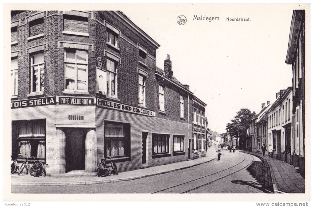 MALDEGEM : Noordstraat - Maldegem