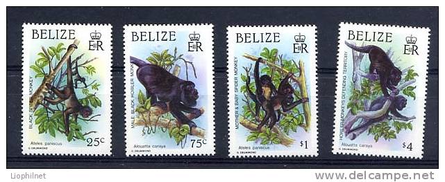 BELIZE 1987, SINGES DE BELIZE, 4 Valeurs, Neufs. R236 - Singes