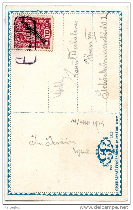 Gesäuse, Johnsbachtal, Reichenstein, Spinfeld, 22.10.1919, Graphische Indsutrie Wien - Liezen