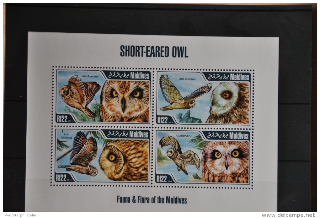 N 099 ++ MALDIVES 2013 BIRDS OISEAUX VOGELS OWL UIL MNH NEUF ** - Maldiven (1965-...)