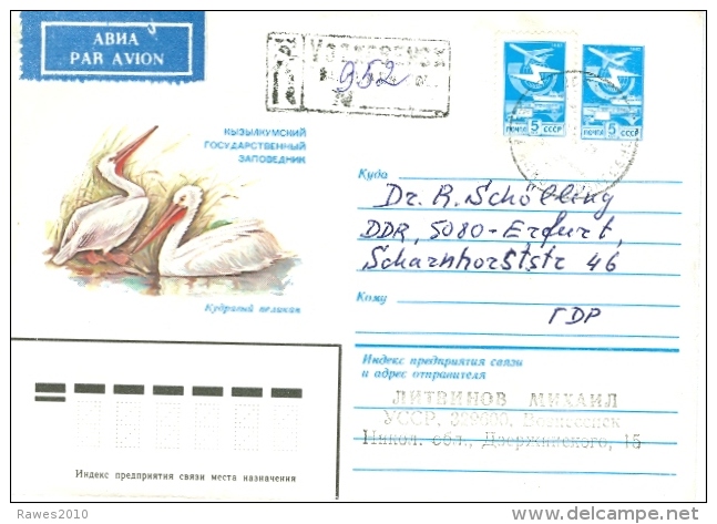 UdSSR Ganzsachenumschlag 1983 Schwäne Luftpost- Und R-Brief - Cygnes