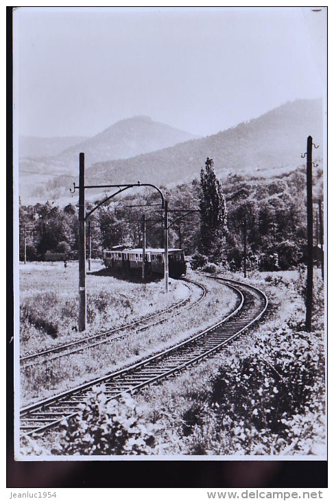 LOCOMOTIVE VUE EXTREMENT RARE  LIGNE SUPPRIMEE EN 1962  CP PHOTO - Gares - Sans Trains