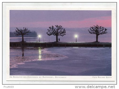 SWITZERLAND - AK 192295 Am Nordufer Des Zürichsees Bei Rapperswil - Ostschweiz - Other & Unclassified