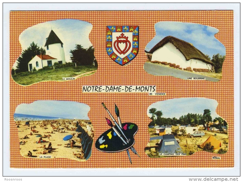 CP NOTRE DAME DE MONTS VENDEE  85  MULTIVUES	 1972 - Chats