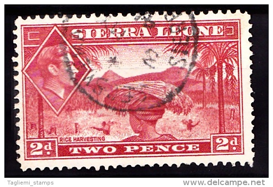 Sierra Leone, 1938, SG 191a, Used - Sierra Leone (...-1960)