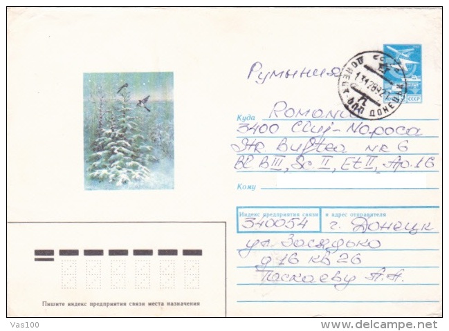 BIRDS, SWALLOWS, WINTER, 1989, COVER STATIONERY, RUSSIA - Zwaluwen