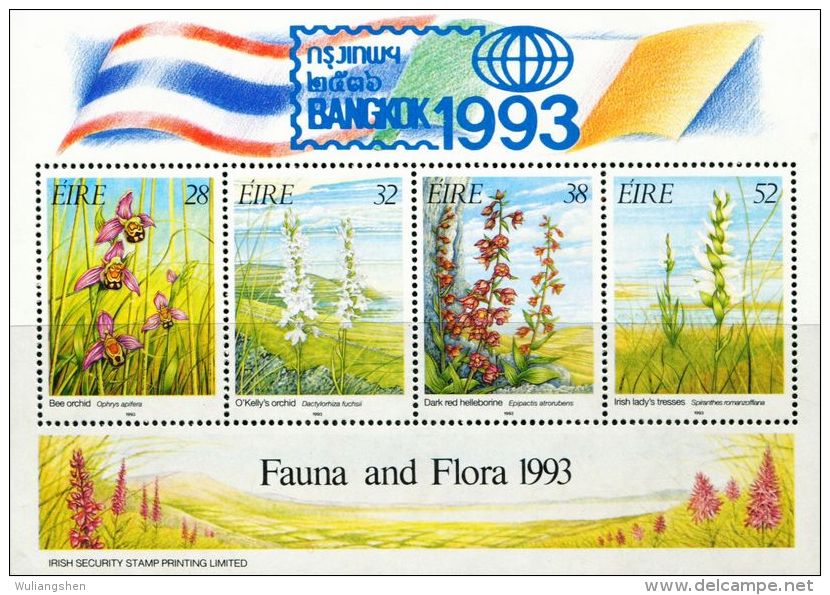 ER0027 Ireland 1993 Orchid S/S(4) Surcharged MNH - Neufs