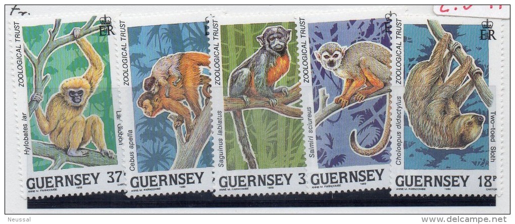 Serie Nº 467/71 Guernsey - Chimpancés