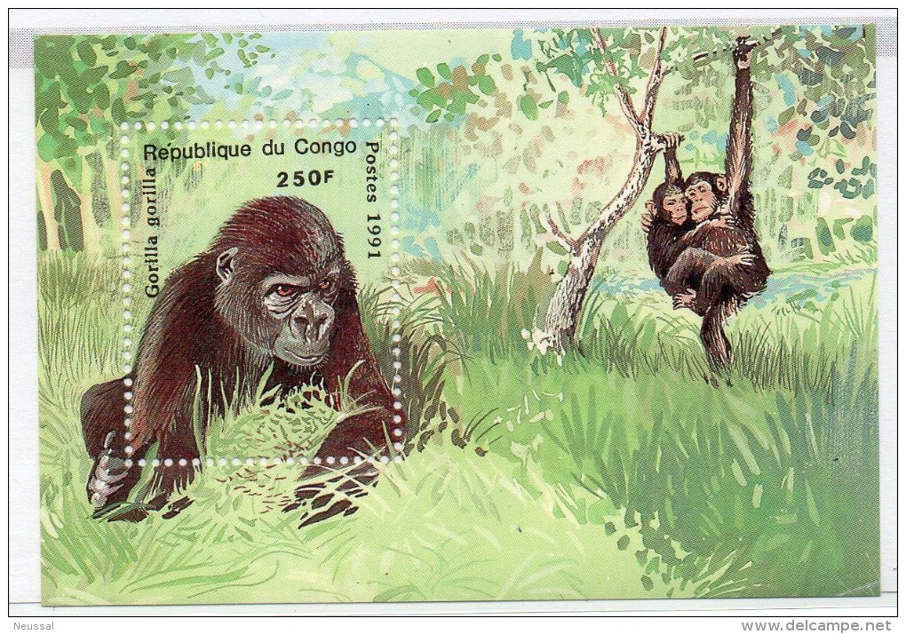 Hb-50A Congo - Gorillas