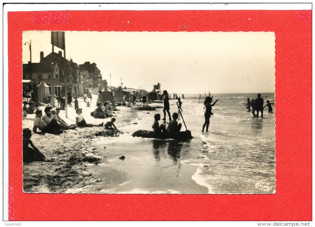 59 BRAY DUNES  Cpsm Animée La Plage   Edit Combier - Autres & Non Classés