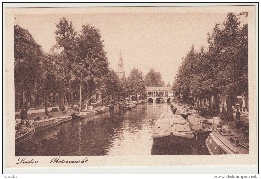 Leiden - Botermarkt : Oude Boten, Schepen, Pramen  - Zuid-Holland / Nederland - Leiden