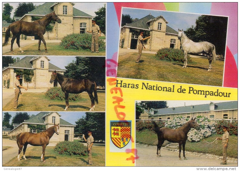 19 - POMPADOUR - HARAS NATIONAL- TANGO DE BREJOUX-HOMME FATHAL-ALBAN-SIROCCO DES SABLES- - Arnac Pompadour