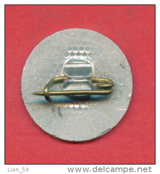 F1171 / Trademarks - BRIDGE ROAD - Economic Association - TRAVEL PLAN 1950 - Bulgaria Bulgarie Bulgarien  - Badge Pin - Merken