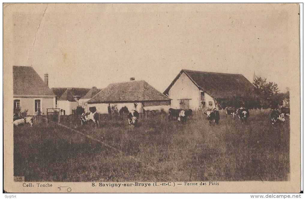 Savigny Sur Braye   41  Ferme Des Pâtis - Autres & Non Classés