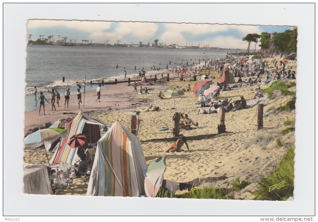 44 - ST-BREVIN Les PINS - Plage Avec Vue Sur Chantiers De St-Nazaire - Animation Baigneurs Filet Volley-ball - Volleyball