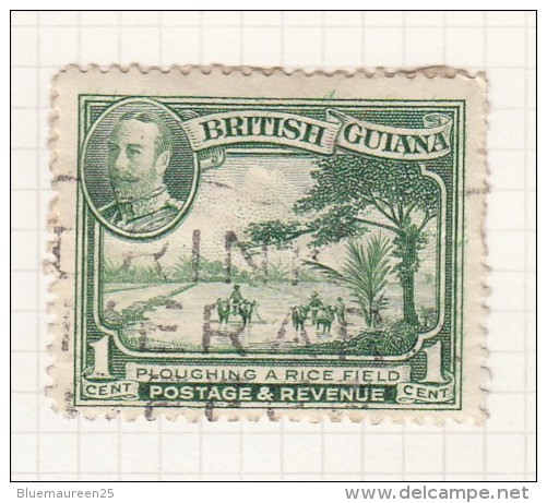 KING GEORGE V - 1934 - Britisch-Guayana (...-1966)