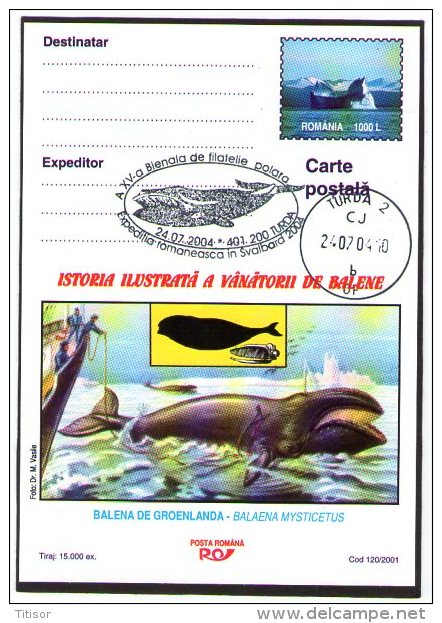 Whale 2 Cards. Turda 2004. - Baleines