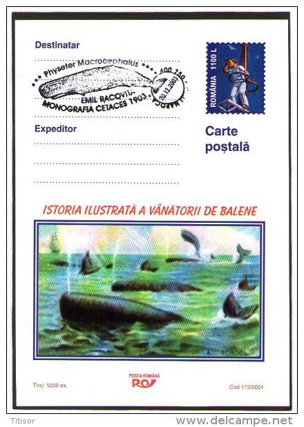 Whale 3 Postal Stationaries. Cluj 2003. - Baleines