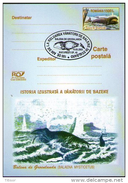 Whale 2 Postal Stationaries. Bucuresti 2003. - Balene