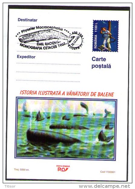 Whale 3 Postal Stationaries. Cluj 2003. - Whales