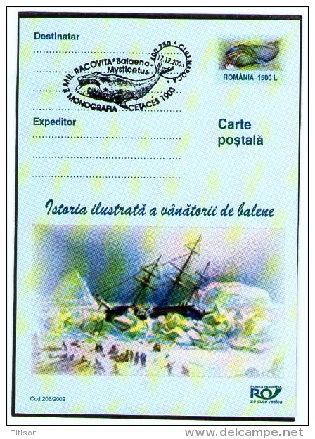 Whale 5 Postal Stationaries. Cluj 2003. - Ballenas