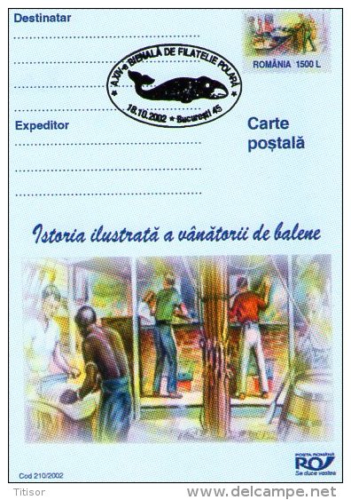 Whale 6 Postal Stationaries. Bucuresti 2002. - Whales