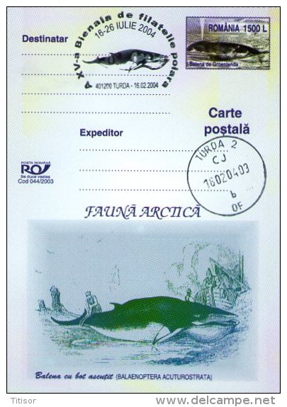 Whale 4 Postal Stationaries. Turda 2004. - Whales