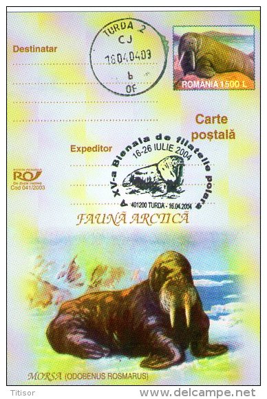 Whale 4 Postal Stationaries. Turda 2004. - Balene