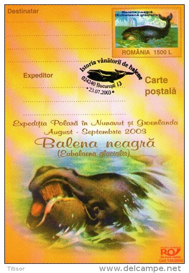 Whale 6 Postal Stationaries. Bucuresti  2003. - Ballenas