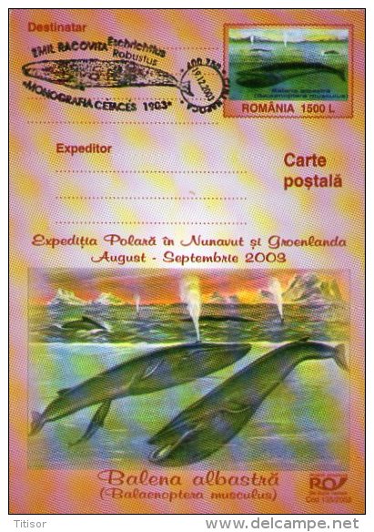 Whale 6 Postal Stationaries. Cluj  2003. - Balene