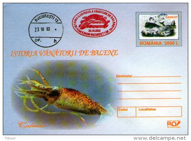 Whales 5 Postal Stationaries (red Ink). Bucuresti2003. - Baleines