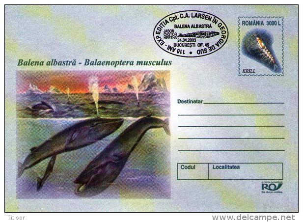 Whales 5 Postal Stationaries . Bucuresti2003. - Balene