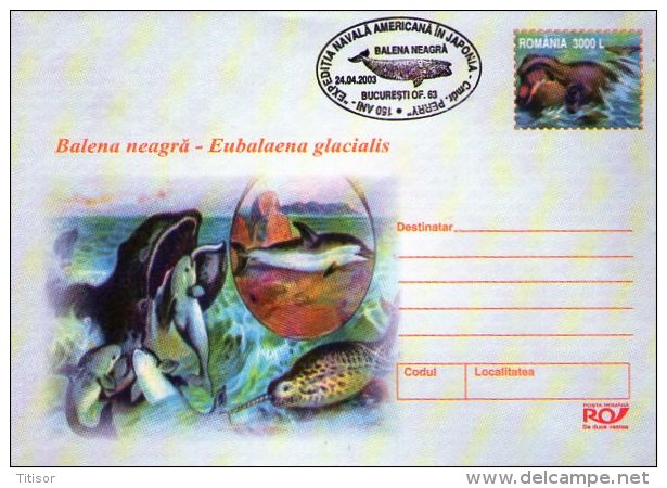 Whales 5 Postal Stationaries . Bucuresti2003. - Balene