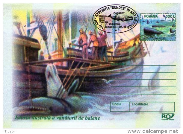 Whales 5 Postal Stationaries . Bucuresti2003. - Whales