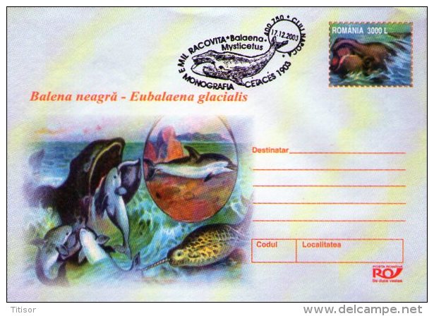 Whales 5 Postal Stationaries .Cluj 2003. - Baleines