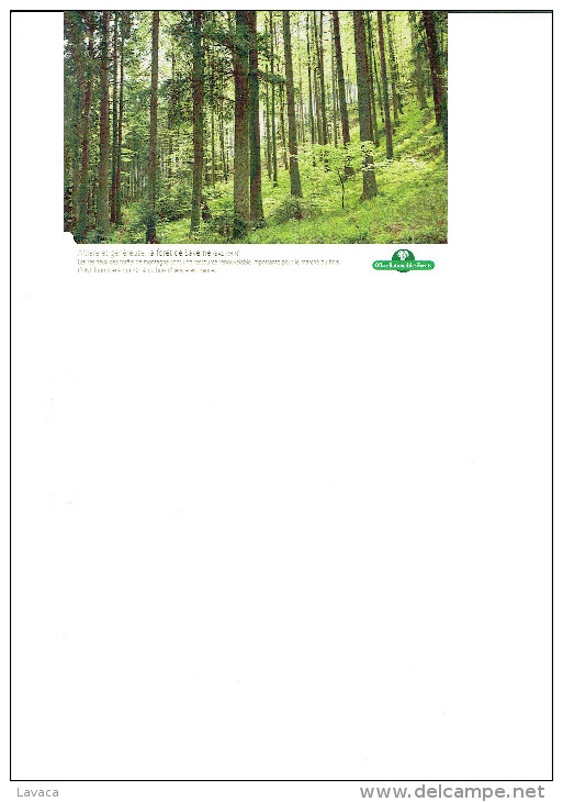 Carte Postale Neuve France - Forêt De Saverne - ONF - Bomen