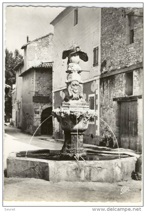 PERNES LES FONTAINES. - La Fontaine Du Cormoran. CPM Dentelée - Pernes Les Fontaines