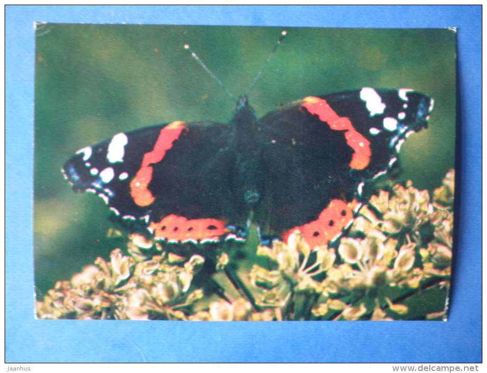 The Red Admiral - Vanessa Atalanta - Butterfly - Insects - 1980 - Russia USSR - Unused - Insectes