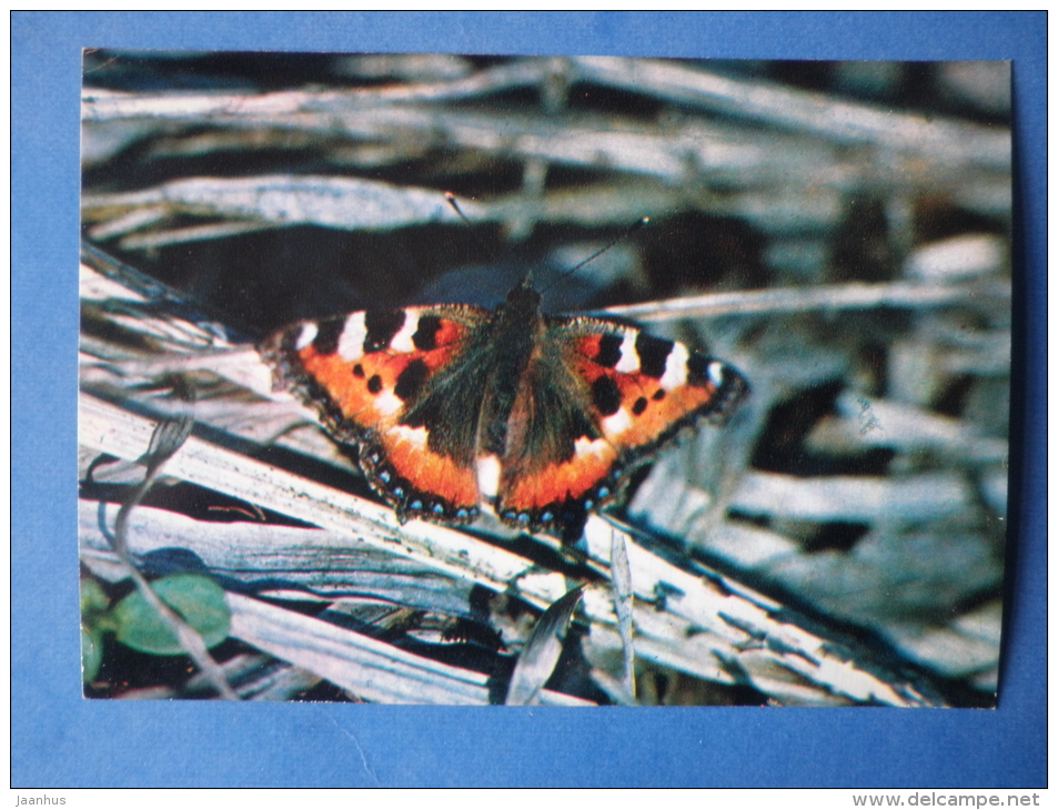 Small Tortoiseshell - Nymphalis Urticae - Butterfly - Insects - 1980 - Russia USSR - Unused - Insects