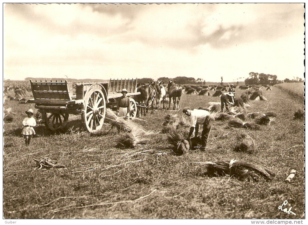 La Moisson Chariot Attelage Format 10X14 Glacé - Landwirtschaftl. Anbau