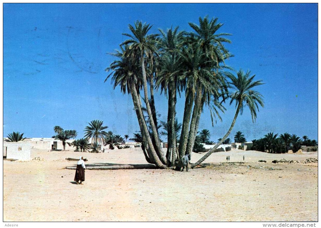 DOUZ - Un Bouquet De Palmiers - Sondermarke - Tunisia