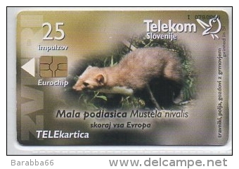 Telekom Slovenije 25 Impulzov - Zveri - Slovenia