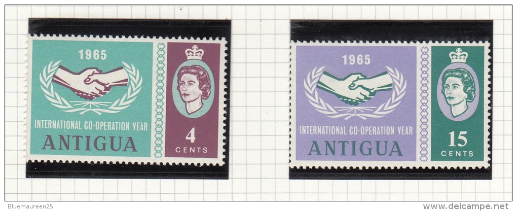 International Co-operation Year - 1960-1981 Autonomía Interna