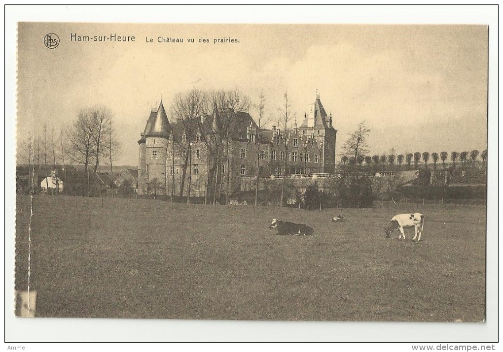 Ham Sur-Heure  *  Le Chateau Vu Des Prairies - Ham-sur-Heure-Nalinnes