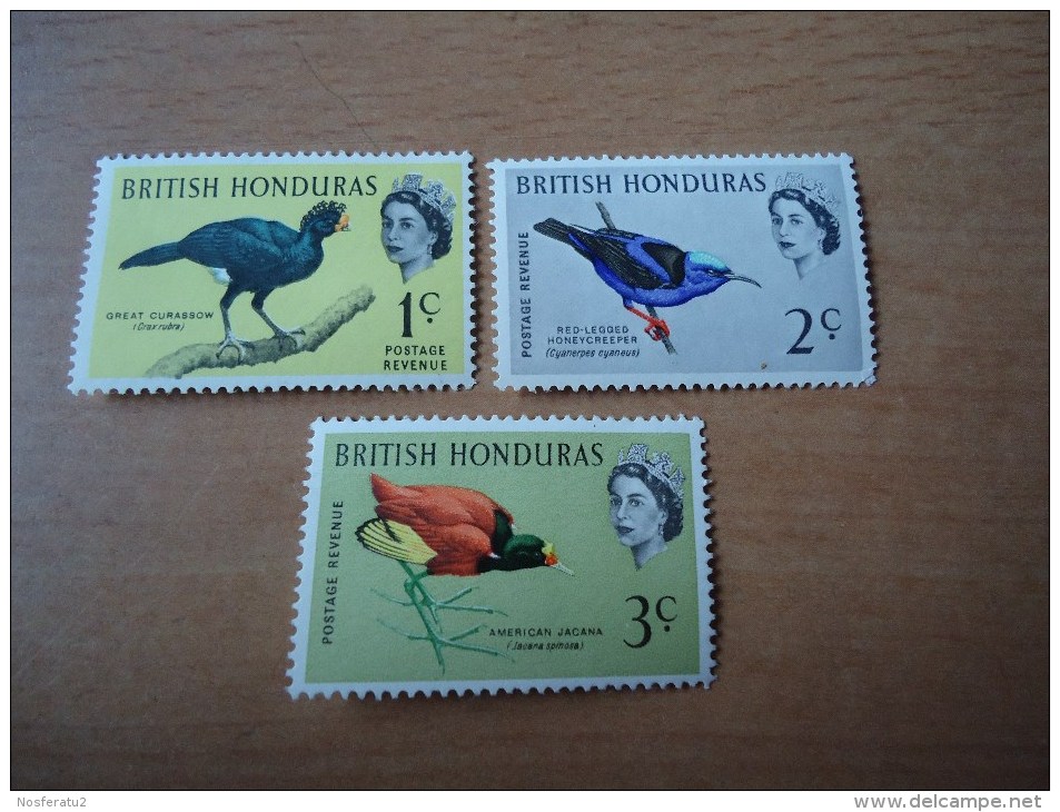 Britisch-Honduras: 3 Werte Vögel (1962) - British Honduras (...-1970)