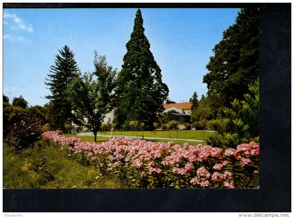 F1575 Heilbad Gleichenberg, Oststmk - Kurpark Mit Wellingtonia - Osterreich, Autriche - Fiori, Fleurs, Flowers - Feldbach