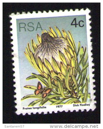 Afrique Du Sud 1977 Timbre Used Stamp Fleur Flower Protea Longifolia - Oblitérés