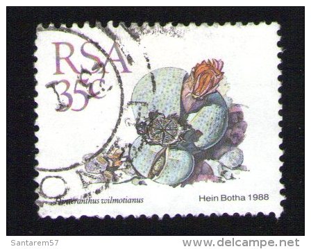 Afrique Du Sud 1988 Oblitération Ronde Used Stamp Fleur Flower Dinteranthus Wilmotianus - Gebraucht